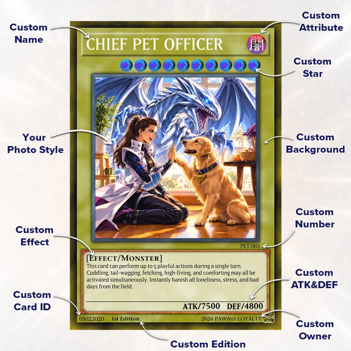 Cards