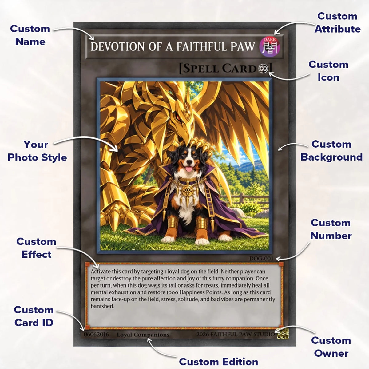 Cards